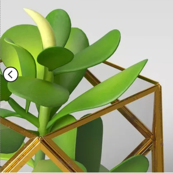 Set o f 2) 5" x 4" Artificial Succulent Plant with Brass Terrarium - Opalhouse - Picture 3 of 7